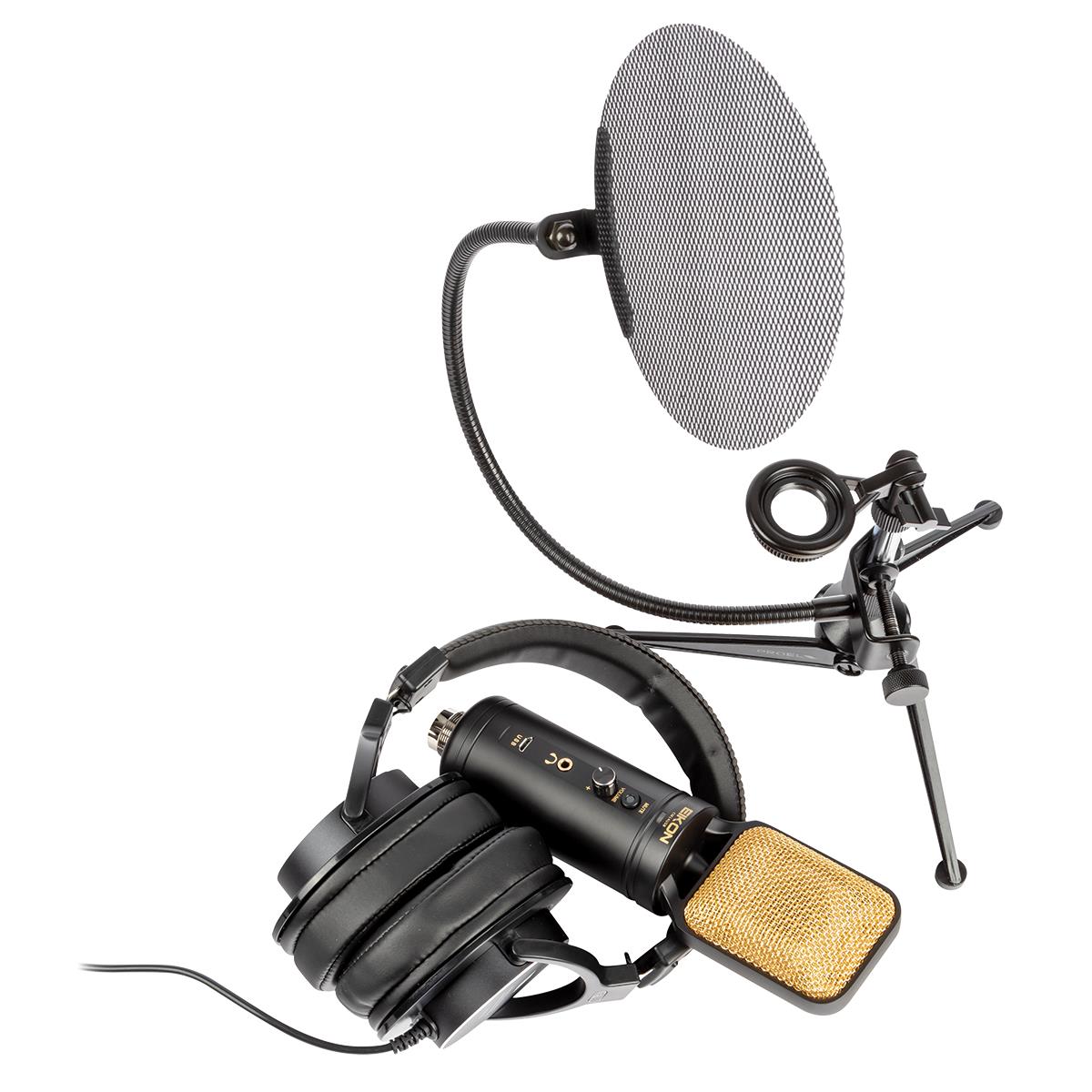 Eikon EKSBTWO Advanced Home Recording Bundle