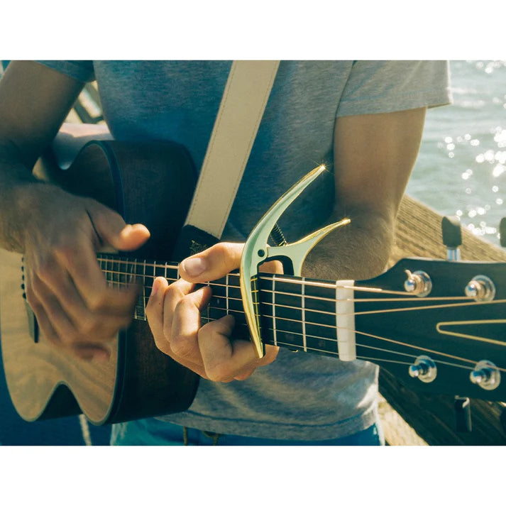 Capo - Electric and Acoustic - Blue Steel