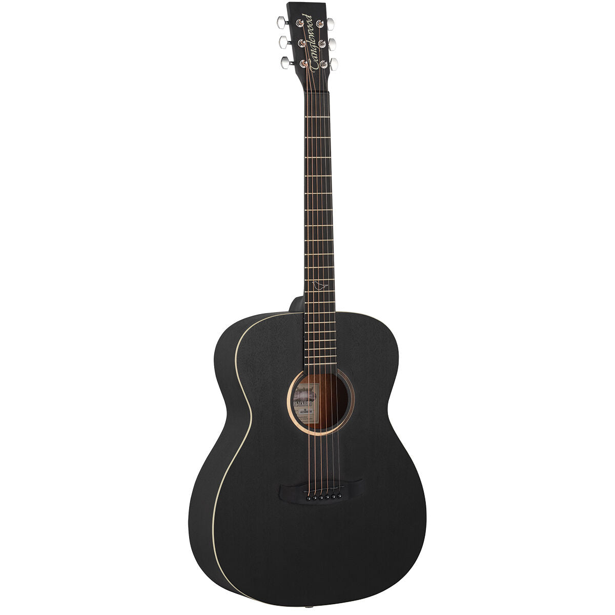 Tanglewood Blackbird Orchestra Acoustic Guitar
